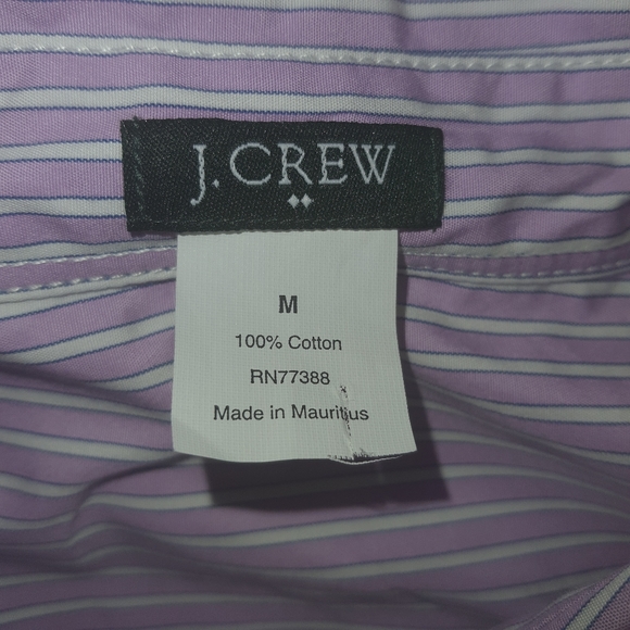J Crew Women's Classic Cotton Long Sleeve Pinstripe Casual Shirt Violet Purple M - Picture 7 of 9